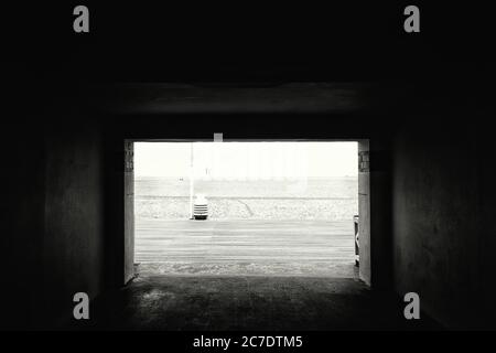 Prise de vue verticale en niveaux de gris d'une voûte plantaire pendant la journée Banque D'Images