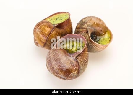 Cuisine française - Escargots au beurre blanc Banque D'Images