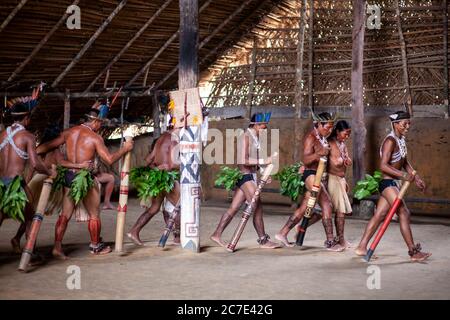 Les hommes indigènes amazoniens exécutent une cérémonie tribale traditionnelle avec des bâtons de cérémonie, portant des coiffes à plumes et de la peinture corporelle, célébrant leur cérémonie Banque D'Images