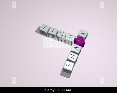 mots croisés de requin tigre disposés par des lettres cubes sur un fond miroir, signification et présentation du concept. animal et illustration. Illustration 3D Banque D'Images