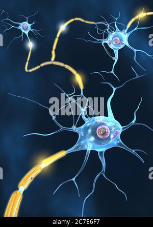 Les cellules nerveuses actives propagent un signal vers le bas sur un axon à la cellule suivante. Banque D'Images