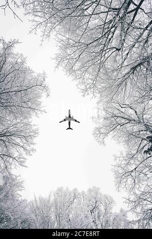 Prise de vue verticale en niveaux de gris à faible angle d'un plan en clair ciel avec de beaux arbres couverts de neige Banque D'Images