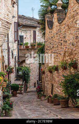 Spello conserve les signes de sa longue histoire : romaine, Lombard, des papes et des seigneurs. Il y a de nombreux vestiges de l'époque romaine quand Spello, ou plutôt Banque D'Images