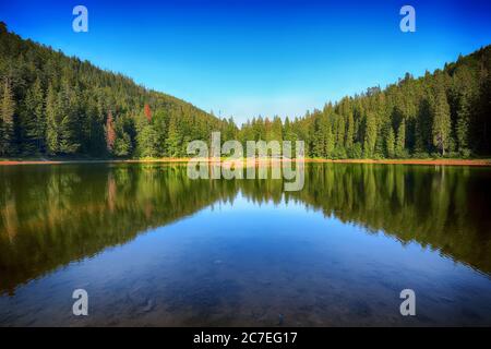 lac de montagne au milieu de la forêt de sapins verts dans un paysage pittoresque d'été. Beau temps avec ciel bleu dans le Parc National de Transcarpathian Synevir UKR Banque D'Images