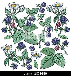 dewberry dessiné à la main. Ensemble d'objets. Illustration de Vecteur