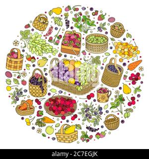 Beaucoup de fruits, légumes et baies dans des paniers Illustration de Vecteur