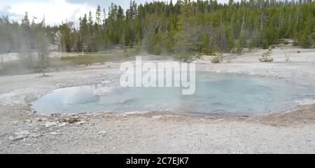 Fin du printemps dans le parc national de Yellowstone : la vapeur s'élève du cratère dans le bassin arrière du bassin de Norris Geyser Banque D'Images