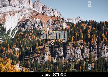 Paysage à couper le souffle de montagnes blanches avec vert et jaune forêts d'arbres Banque D'Images