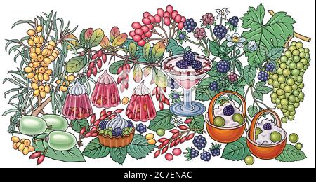 Illustrations de bonbons, baies, fruits, boissons Illustration de Vecteur