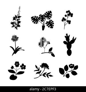 Collection d'icônes isolées de fleurs vectorielles Illustration de Vecteur