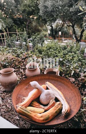 Dose verticale de citrouilles sèches sur un plateau avec un jardin flou en arrière-plan Banque D'Images