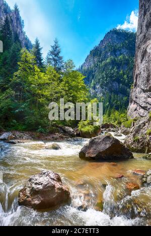 Rivière de montagne rapide à Bicaz Canyon/Chaile Bicazului. Scène impressionnante de la rivière de grandes falaises et rochers du comté de Neamt, Roumanie, Carpathian Mountains, Banque D'Images