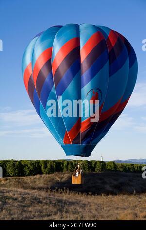 Montgolfière dans la région viticole de Temecula Valley, en Californie du Sud Banque D'Images