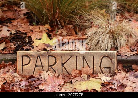 Photo horizontale d'un morceau de bois sculpté « parking » les feuilles mortes colorées Banque D'Images