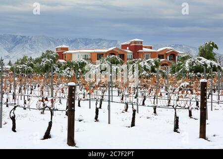 Cave de vinification South Coast, Temecula Valley, Californie du Sud, États-Unis Banque D'Images