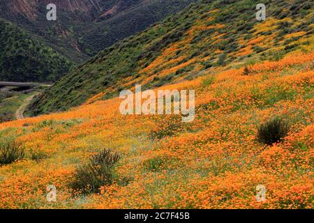 Walker Canyon, Lake Elsinore, Riverside County, Californie, États-Unis Banque D'Images