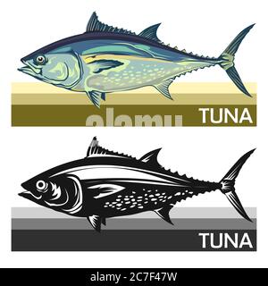 Le thon est une espèce de maquereau. Tonny. Thunnus. Poisson pour étiquettes, logo, emballage. Pêche au thon. Thon de l'Atlantique ou du Pacifique. Famille des Scombridae. Illustration de Vecteur