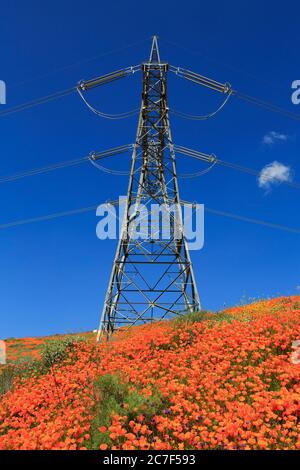 Electricity Pylon, Walker Canyon conservation Area, Lake Elsinore, Riverside County, Californie, États-Unis Banque D'Images