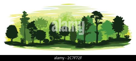 Paysage forestier. Isolé sur un fond blanc. Paysage de plantes, horizon. Silhouettes d'arbres, buissons. Illustration vectorielle. Jungle. Illustration de Vecteur