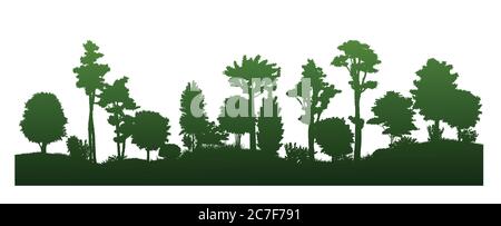 Paysage forestier. Isolé sur un fond blanc. Paysage de plantes, horizon. Silhouettes d'arbres, buissons. Illustration vectorielle. Jungle. Illustration de Vecteur