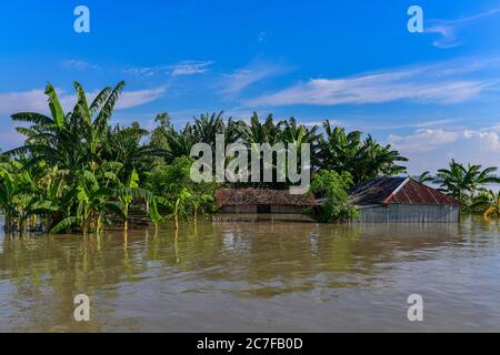 Bogura, Bangladesh. 16 juillet 2020. Vue sur les maisons submergées dans une zone inondée de Sariakandi à Bogura.plus de quatre millions de personnes sont touchées par les inondations de la mousson au Bangladesh, un tiers du pays étant déjà sous-marin après certaines des pluies les plus abondantes depuis une décennie, ont déclaré les responsables. Crédit : SOPA Images Limited/Alamy Live News Banque D'Images