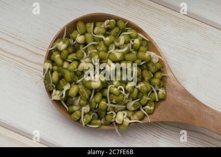 Haricots de Mung germés dans une cuillère en bois . Concept de nutrition saine Banque D'Images