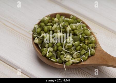 Haricots mungs germés dans une cuillère en bois. Vue rapprochée . Banque D'Images