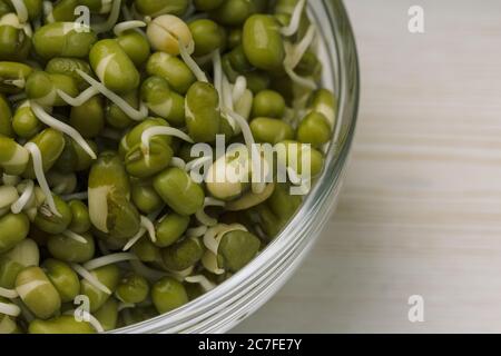 pousses de haricots mung dans un bol en verre sur la table en gros plan. Macro de spats Banque D'Images