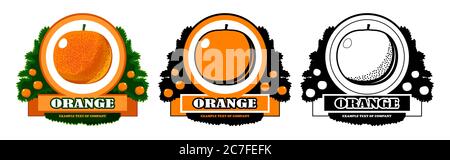Logo orange vecteur isoler. Symbole pour la production des agrumes : oranges, mandarines, pamplemousses, citronniers. Ruban de nom de société. Trois options Illustration de Vecteur