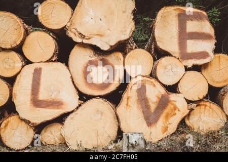 Troncs d'arbres empilés dans la forêt avec les grandes lettres rouges dans le mot Amour sur eux fait avec la brosse Banque D'Images