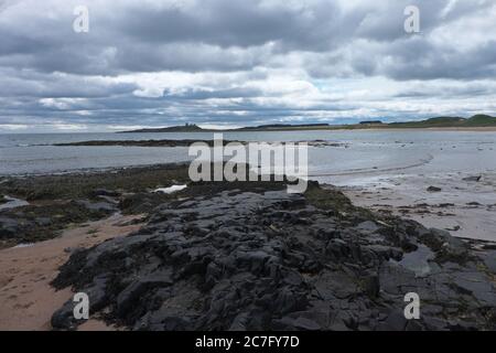 Vue sur la baie d'Embleton jusqu'au château de Dunstanburgh, Northumberland Banque D'Images