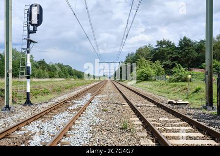 Deux voies de chemin de fer avec câbles électriques et sur le côté gauche un pôle de signalisation de train dans la distance au milieu d'une forêt verte, pays-Bas Banque D'Images