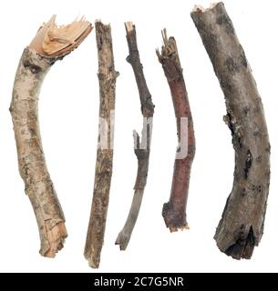 Bâtons et brindilles isolés sur fond blanc Banque D'Images