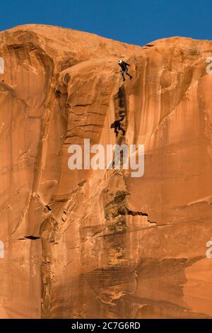 USA, Utah, Moab, UN cavalier de base, saute sur la face verticale de 400 pieds de la tombe dans le canyon de Kane Springs. Observez son ombre sur la falaise. Banque D'Images