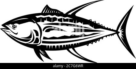 Illustration rétro de style noir et blanc d'un thon à nageoires jaunes Thunnus albacares ou ahi, une espèce de thon trouvée dans les eaux pélagiques des océans subtropicaux Illustration de Vecteur
