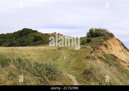 Stonebarrow Hill, South West Coast Path, près de Charmouth, Dorset, Angleterre, Grande-Bretagne, Royaume-Uni, Royaume-Uni, Europe Banque D'Images