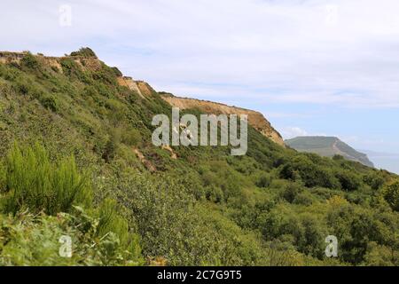 Stonebarrow Hill, South West Coast Path, près de Charmouth, Dorset, Angleterre, Grande-Bretagne, Royaume-Uni, Royaume-Uni, Europe Banque D'Images