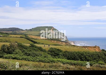 Golden Cap, South West Coast Path, Dorset, Angleterre, Grande-Bretagne, Royaume-Uni, Royaume-Uni, Europe Banque D'Images