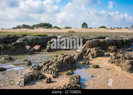 Côte d'Essex Beach, vue sur le paysage accidenté le long de la plage à Bradwell-on-Sea montrant la chapelle Saint-Pierre du VIIe siècle au loin, Essex UK Banque D'Images