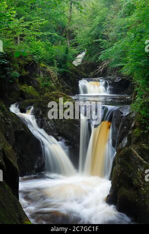 Pecca Falls le long de l'Ingleton WaterFalls Trail dans les Yorkshire Dales. Banque D'Images