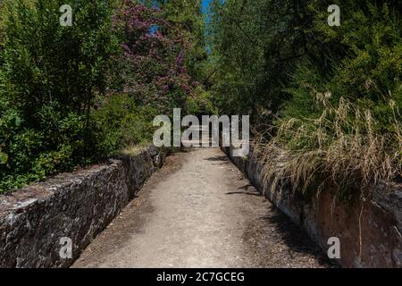 Chemin dans un jardin du château des Templiers sous la lumière du soleil À Tomar au Portugal Banque D'Images