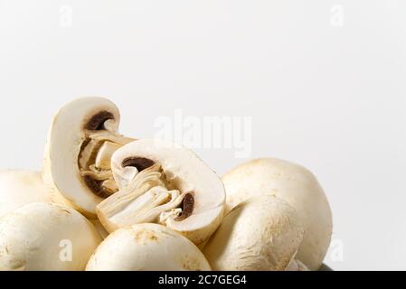 Champignons frais macro pousse. Gros plan sur du champaignon blanc. Banque D'Images