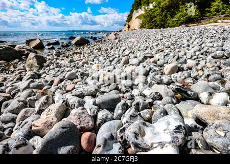 Plage de galets et falaises de craie à Piratenschlucht (gorge de pirate) plage à la mer Baltique dans le parc national de Jasmund, île de Rügen, Allemagne. Banque D'Images