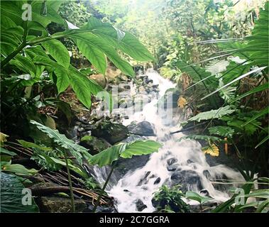 Illustration photo de plantes tropicales et de cascade recréées à l'intérieur de la forêt tropicale au projet Eden à Cornwall Banque D'Images