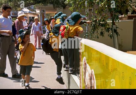 Sydney NSW Australie Taronga Zoo School enfants en cours de sortie scolaire dans l'enceinte de Koala Banque D'Images