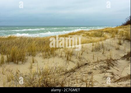 dunes de sable de la bande côtière, herbe sèche sur le sable de mer Banque D'Images