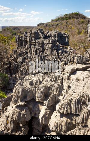 Vue sur le plateau de la réserve spéciale d'Ankarana, Ankarana, Madagascar Banque D'Images