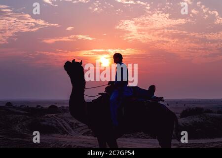 Vue d'une personne locale sur un chameau détouré pendant un coucher de soleil rose Banque D'Images