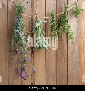 Herbes fraîches de cuisine séchant devant un fond rustique en bois Banque D'Images