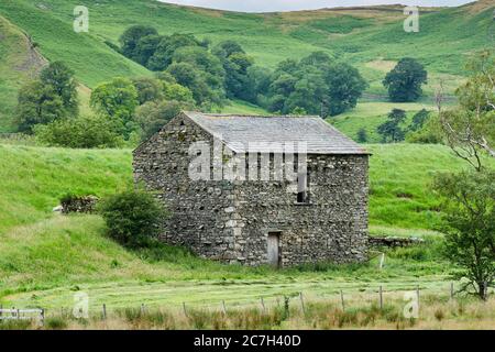 Ferme en pierre de St Johns dans la vallée, près de la ferme Lowthwaite, près de Thirlmere, Lake District, Cumbria Banque D'Images